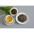 Green tea factory premium organic tea OP 9101