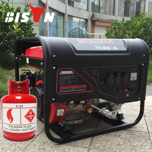 BISON(CHNA) Natural Gas Gasoline Doal Powered Generator Natural Gas Powered Generators