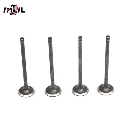 IMIL Brand 13715-36020 Exhaust Valve for Toyota Models