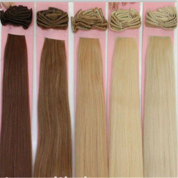 12-40inch 100% Human Hair Weft/Bulk Hair Extensions (BD-11072503)