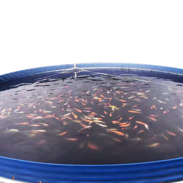 Durable Tilapia Pond Tarpaulin for Aquaculture - Custom Galvanized Steel Fish Tank
