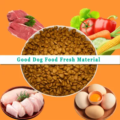 Factory Direct Sale: Wellness Complete Health Dry Dog Food