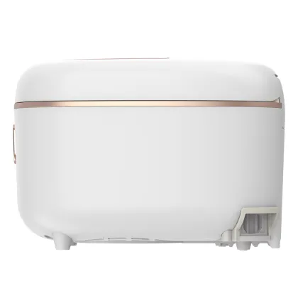 Multifunctional Induction Heating Electric Rice Cooker