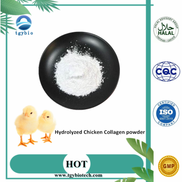 Anti-penuaan dan pemutihan Halal Hydrolyzed Chicken Collagen