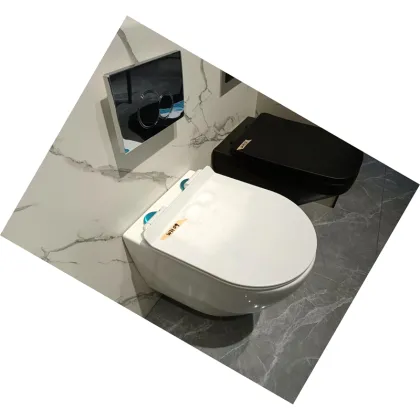 WC Rimless Wall Mounted Toilet