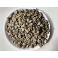 Arabica Roasted Coffee Beans with Special Flavor