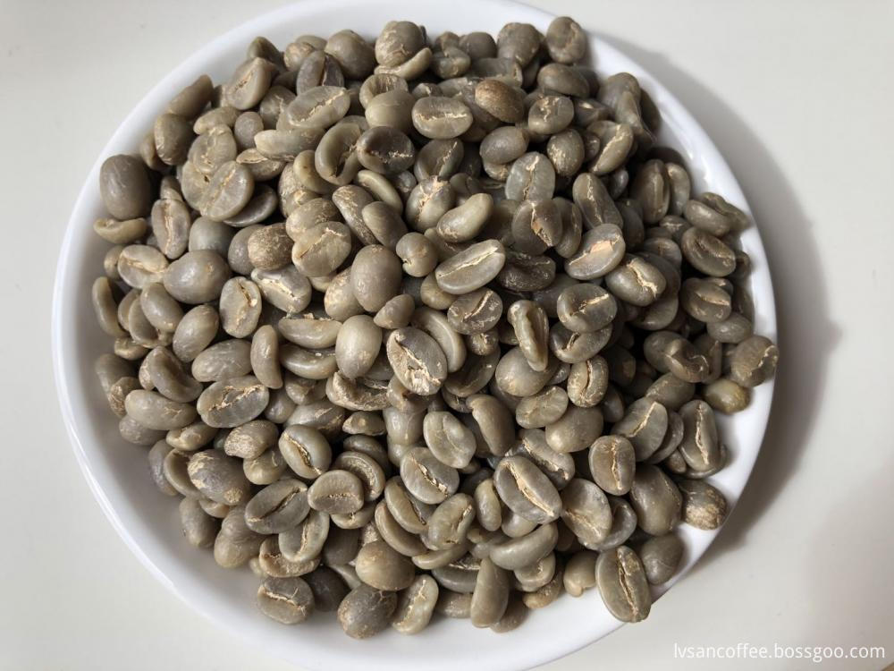 High Quality Coffee Beans