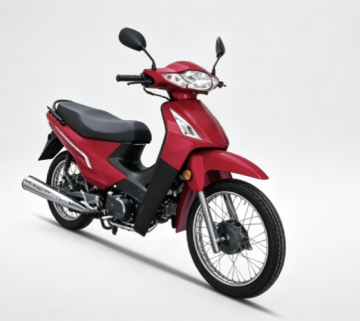 Sleek Design Low-Speed Light E-Bikes for Easy Riding