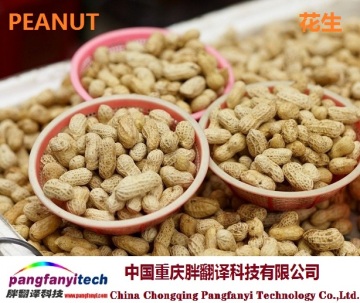 Natural Nutritional Self-produced Tasty Aromatic Peanut