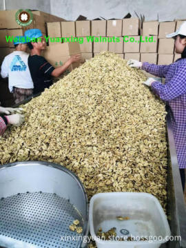 Walnut Kernels Light Pieces competitive price