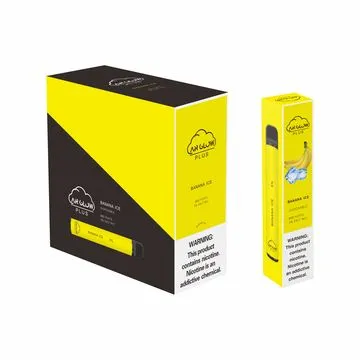 Wholesale Disposable Vape Pen Brand New 800 Puffs Electronic Cigarette Factory