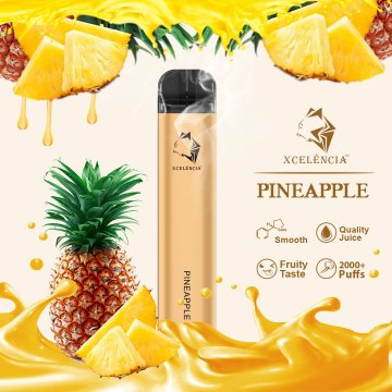 Gunnpod 2000 puffs disposable Grape 5% Nic