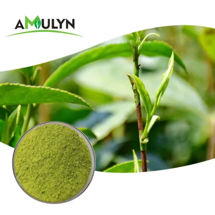 Premium Natural Matcha Green Tea Powder