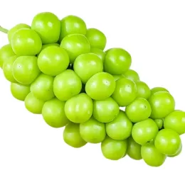 Premium Seedless Shine Muscat Table Grapes from Yunnan