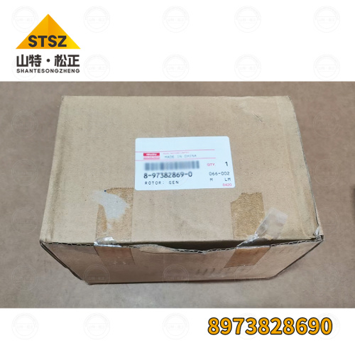 ZH200LC-A generator 8973828690