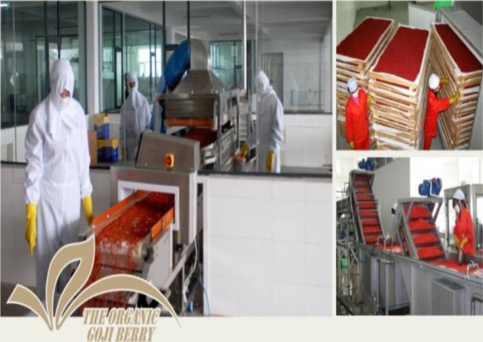 Ningxia New crop Dried Organic and Low agricultural residues Goji berry