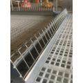 Chain feeder system(Poultry chain feeding)