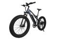 E Bikes Fat Tire 1000 Watt Electric Basikal