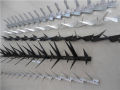 Razor Spike Steel Galvanized Anti Climb Wall pickes