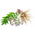 High Quality Valerian Root Extract