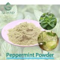 Высушенный распылением порошок мяты перечной, мята, функциональное пищевое применение
