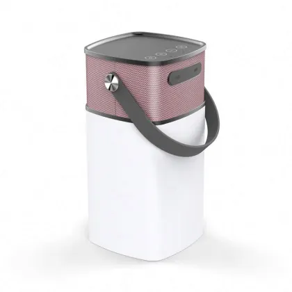 8 Inch 2.1 Subwoofer Fashionable Design F D Speaker