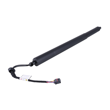 LEFT RIGHT Electric Tailgate Struts for Hyundai Palisade 2020-2023 (81831S8100 81841S8100)