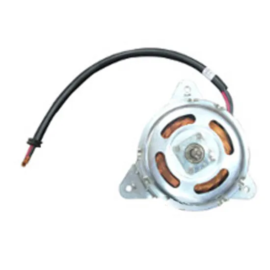 OEM Auto AC Evaporative Winding Motor Air Cooler Radiator Fan Motor 5000223000TAA for Brazil Market
