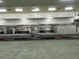 Coated Cashew Production Line