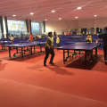 Pavimentazione sportiva EnlioPVC per campo da ping pong indoor