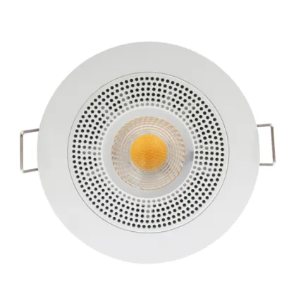 Smart downlight with speaker