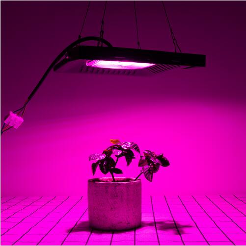 Best cob grow lights 2020 50w 100w 150w