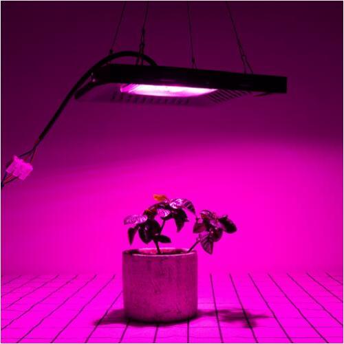 Best cob grow lights 2020 50w 100w 150w