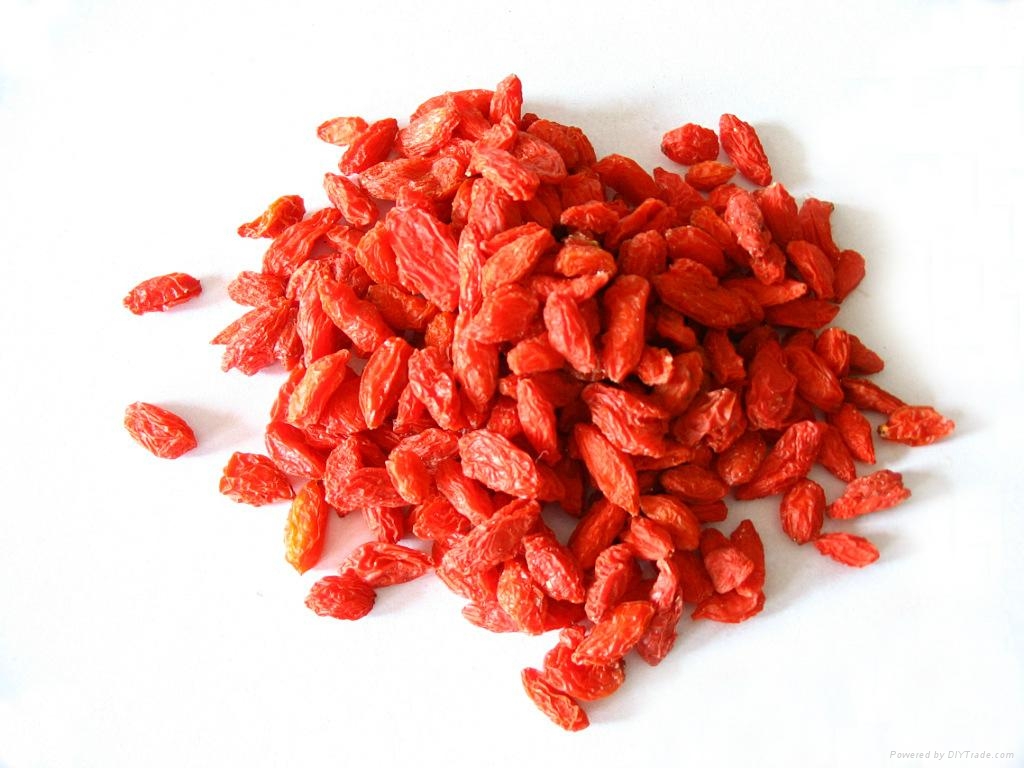 Goji Berry Wolfberry Extract Powder