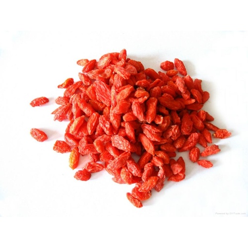 Goji Berry Wolfberry Extract Powder