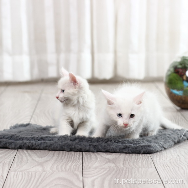 Tapis antidérapant double face pour chat en peluche