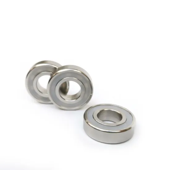 Stainless Steel 316L Deep Groove Ball Bearings S6200ZZ-S6209ZZ