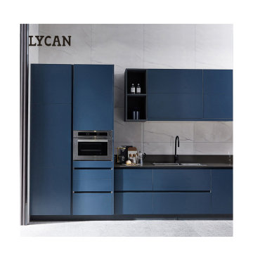 Lycan Custom Stainless Steel Blue Kitchen cabinet