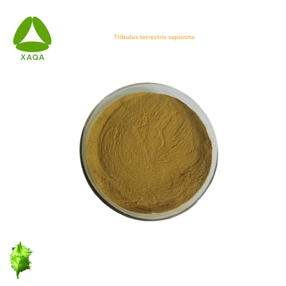 Organic Vegan Tribulus Terrestris Extract Saponin Powder