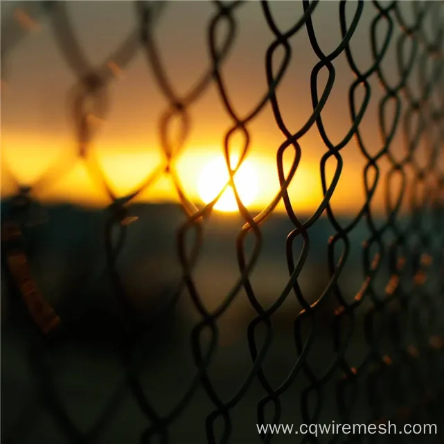 PVC Coated Chain Link Fence