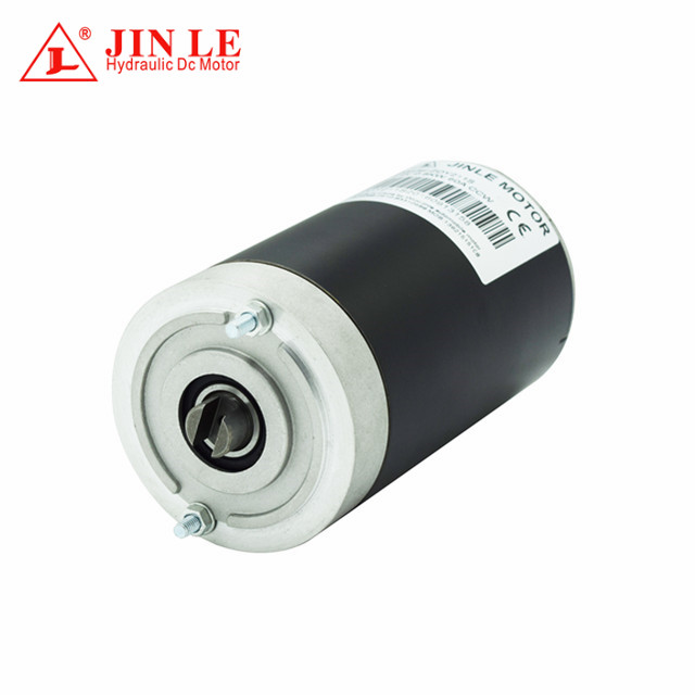 Idwolik 12 volt DC Motor ZD1230