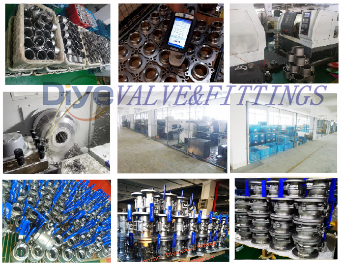 DIYE VALVE AND FITTING 2