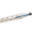 Thermometer to measure the temperature of milk