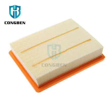 OE S11090010A7 1105020AIR01 Diesel Air Filter for JAC Xingrui Sunray