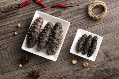 Wholesale sea cucumber powder sea cucumber peptide