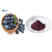 Supply Natural Extract Anthocyanin Blueberry Extract Powder