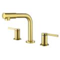 SHAMANDA Brushed Golden Rotating Faucet