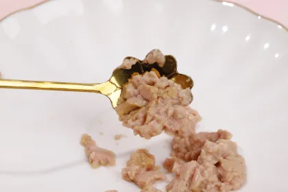 Wholesale Pet Snacks High Protein Chicken Pet Cat