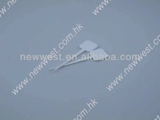 Plastic Fruit Sticks