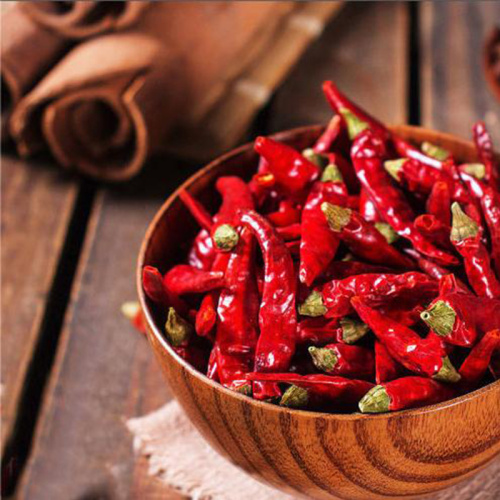 Single Spice Dried Chili Base direct sales dried chili Yan Chili Supplier